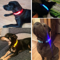 The Led Dog Collar - Komickonn