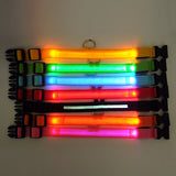 The Led Dog Collar - Komickonn