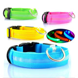 The Led Dog Collar - Komickonn