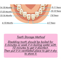 Wooden Baby Tooth Memorial Box Organizer - Komickonn