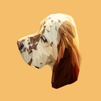 How To Create A Low Poly Portrait With The Pen Tool - Komickonn